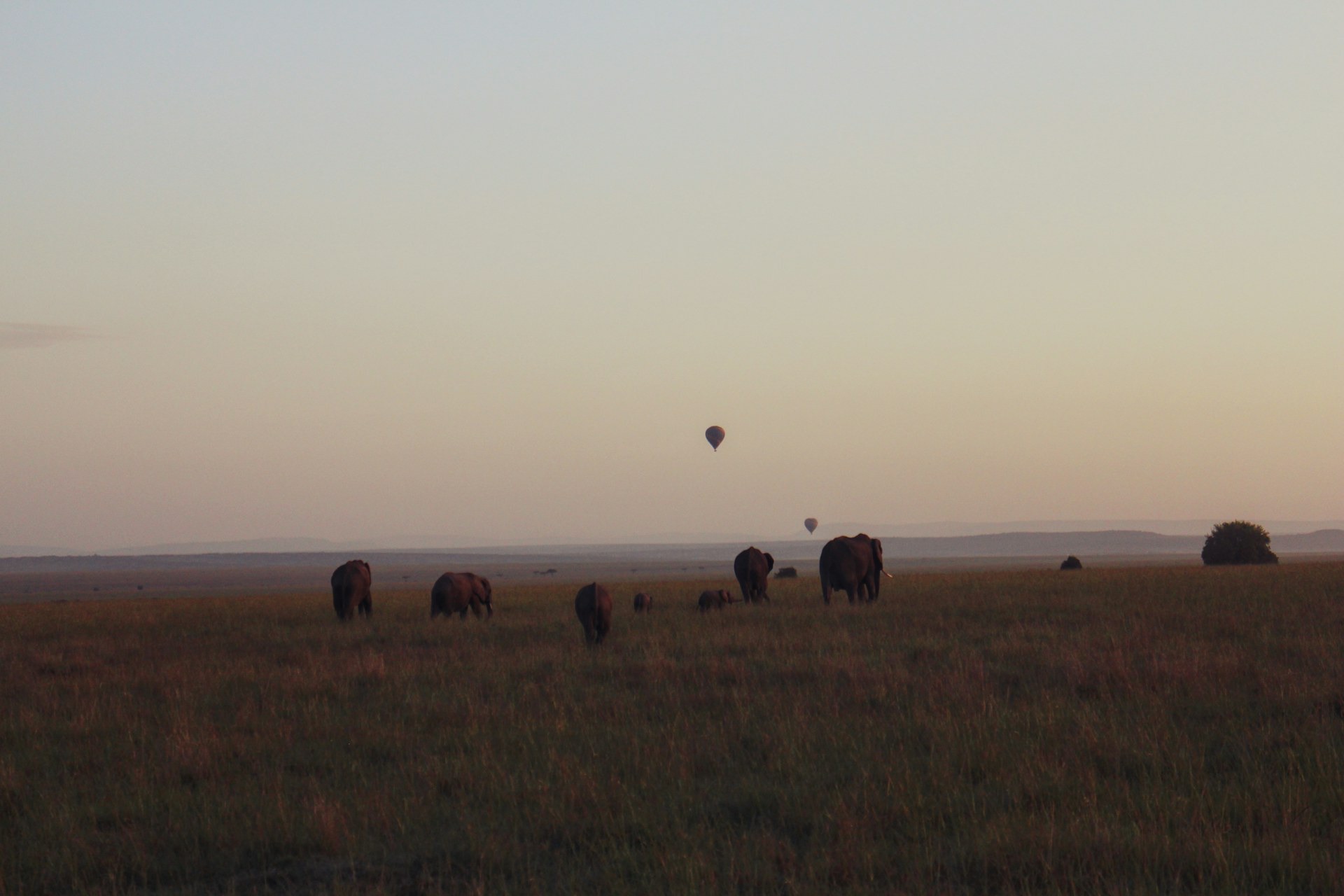 Masai Mara