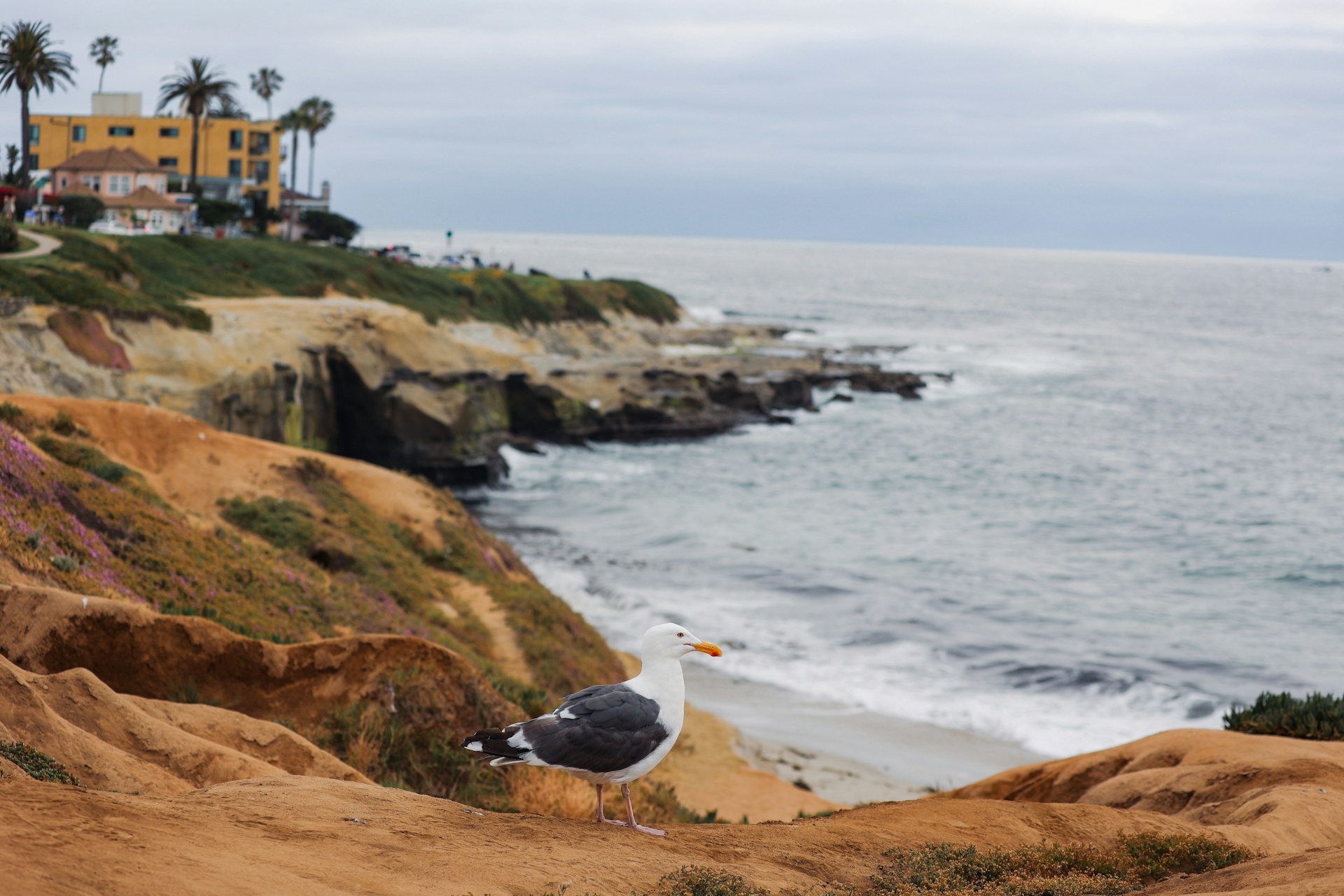 San Diego