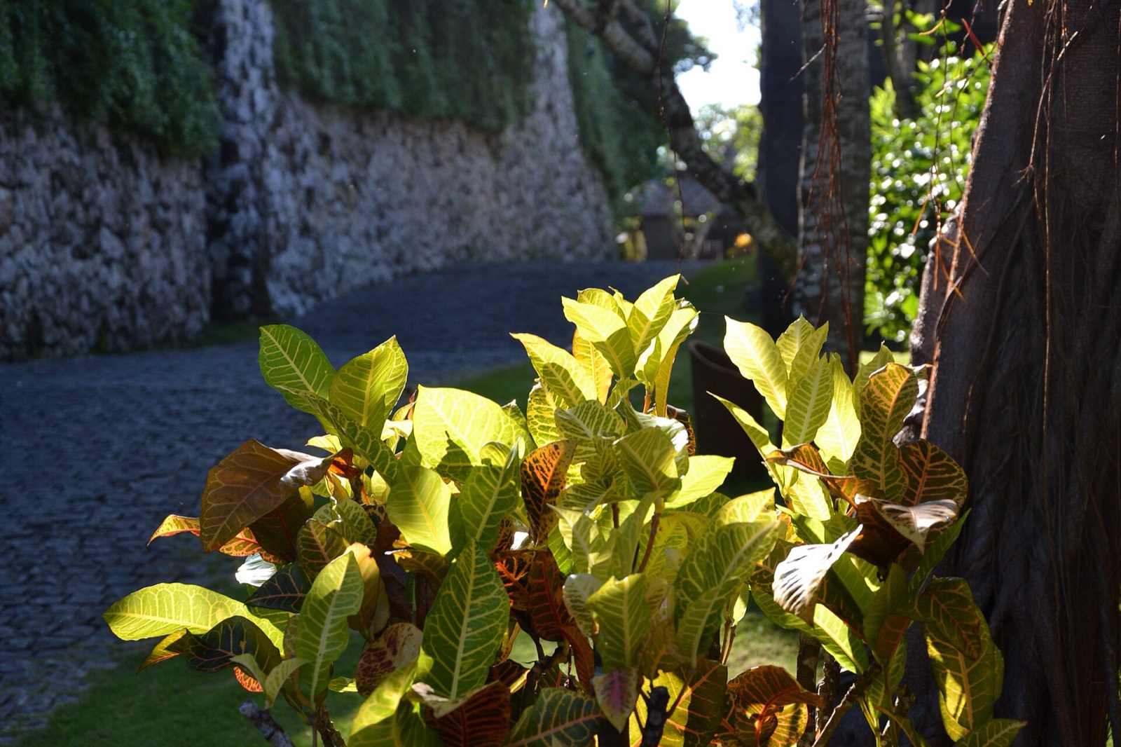 Bulgari Resort Bali