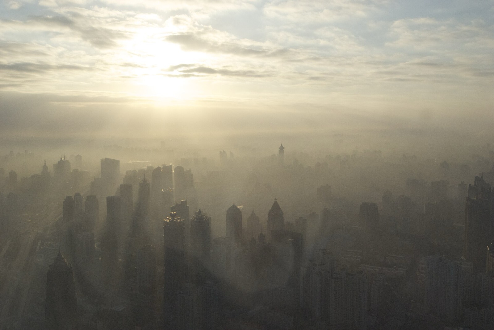 Park Hyatt Shanghai