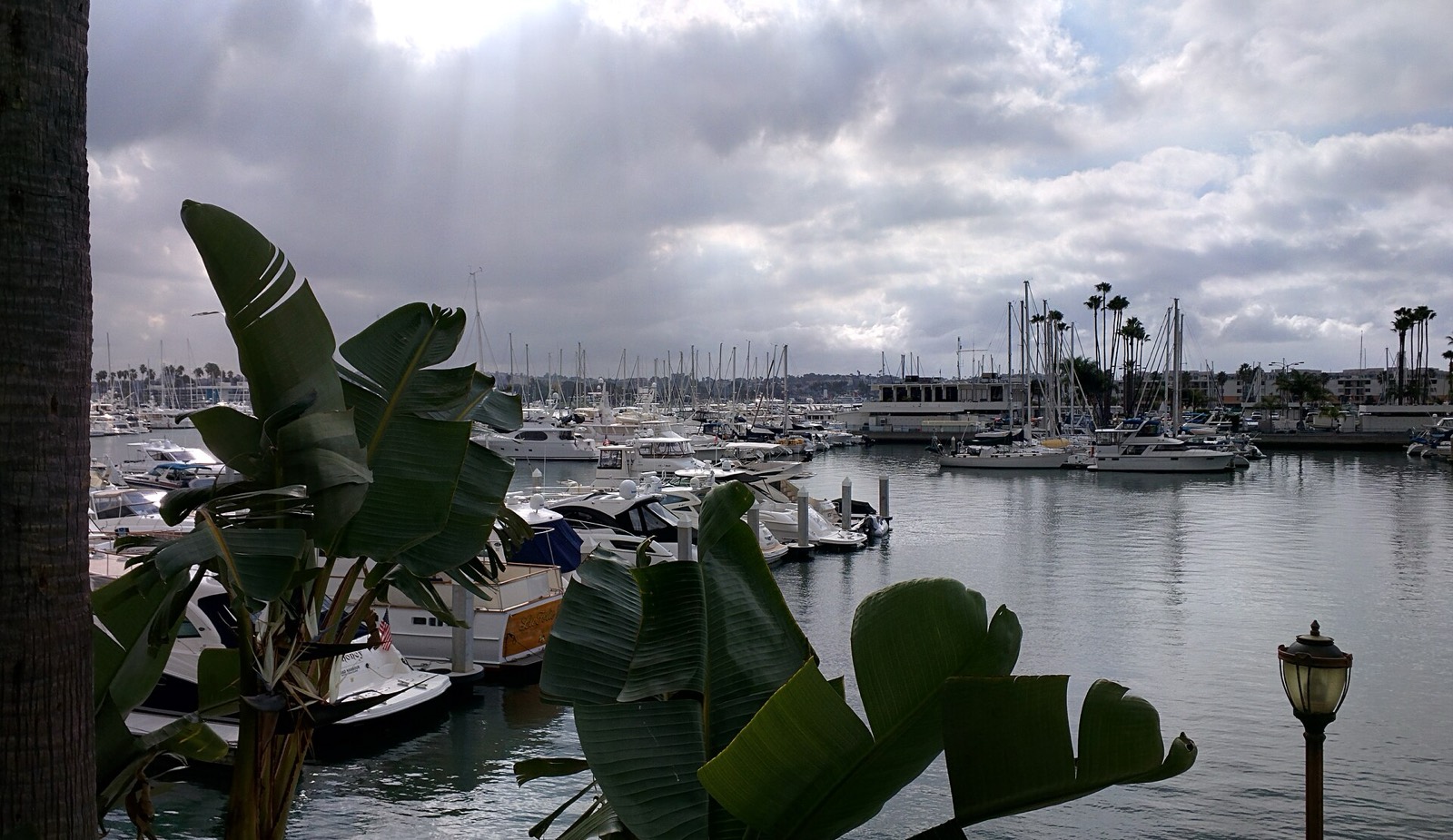 The Ritz-Carlton, Marina del Rey